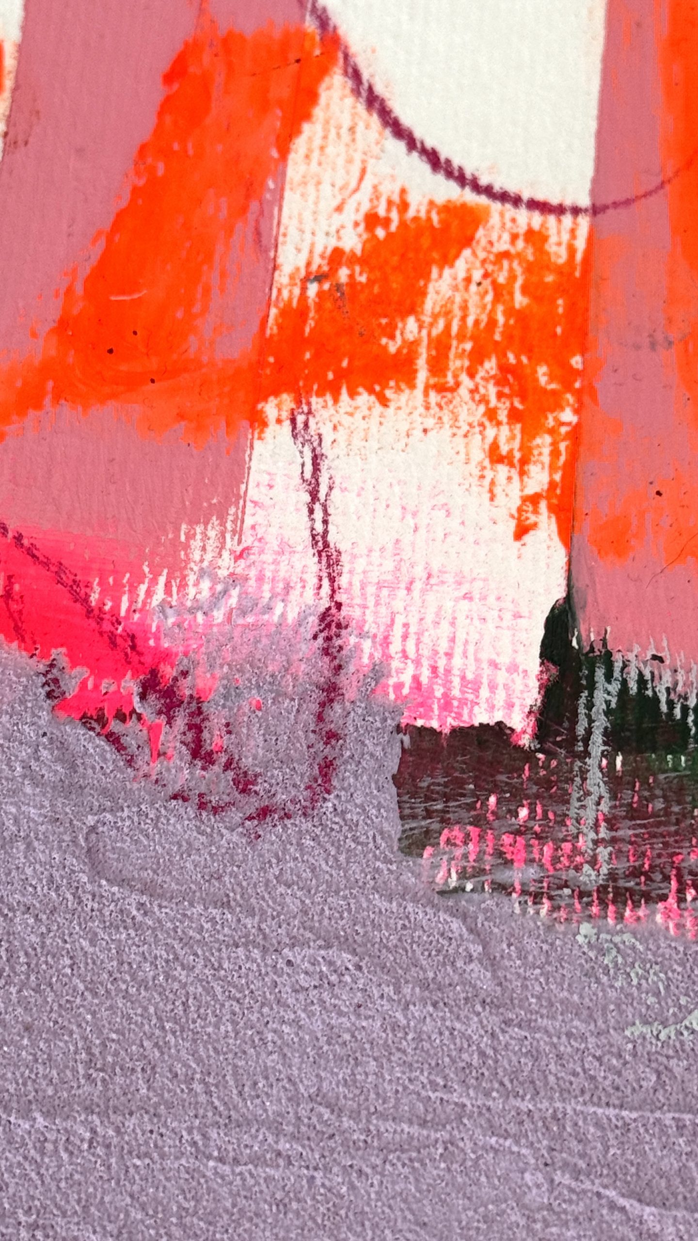 little pig – Bild 3