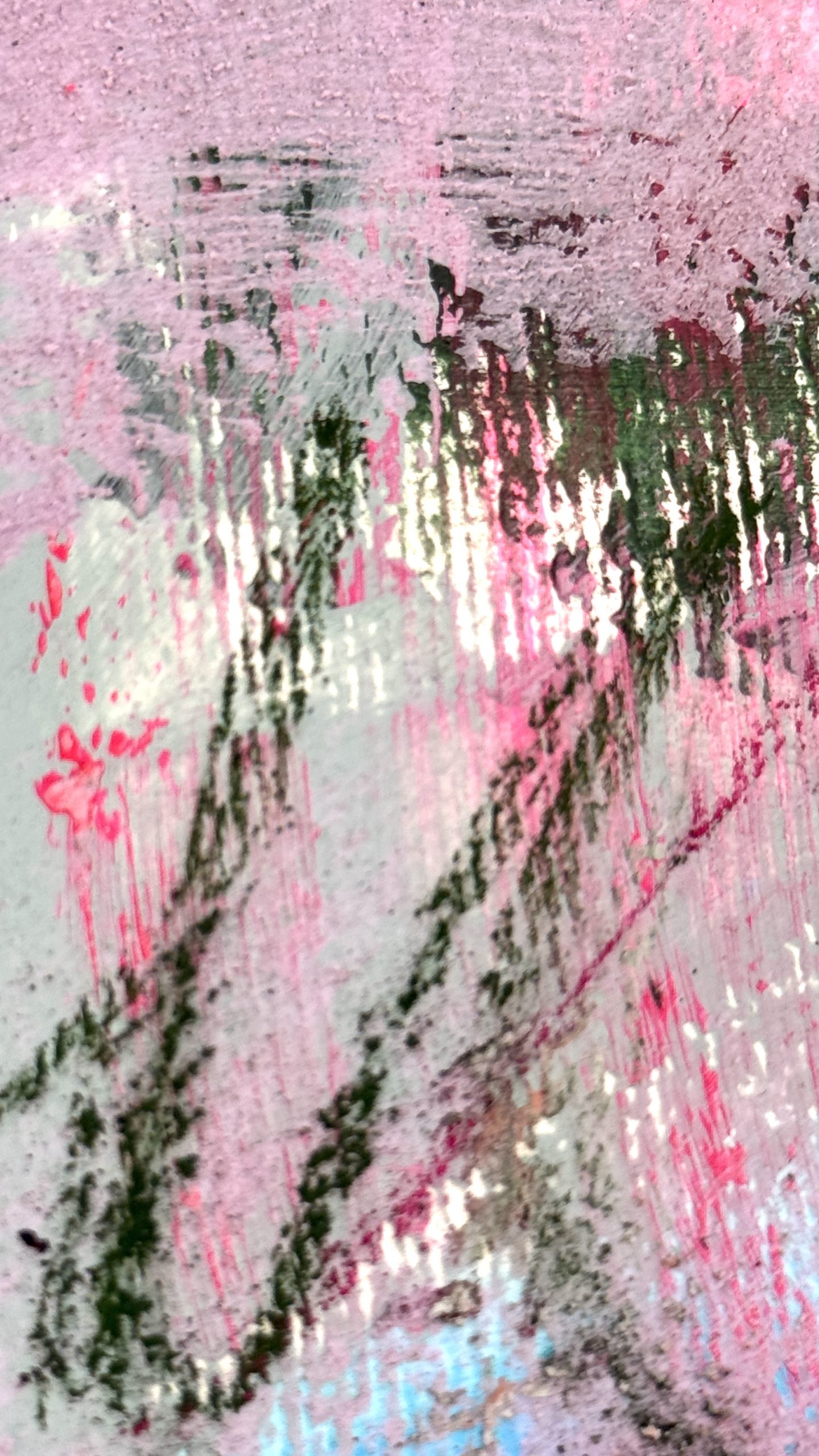 little pig – Bild 4