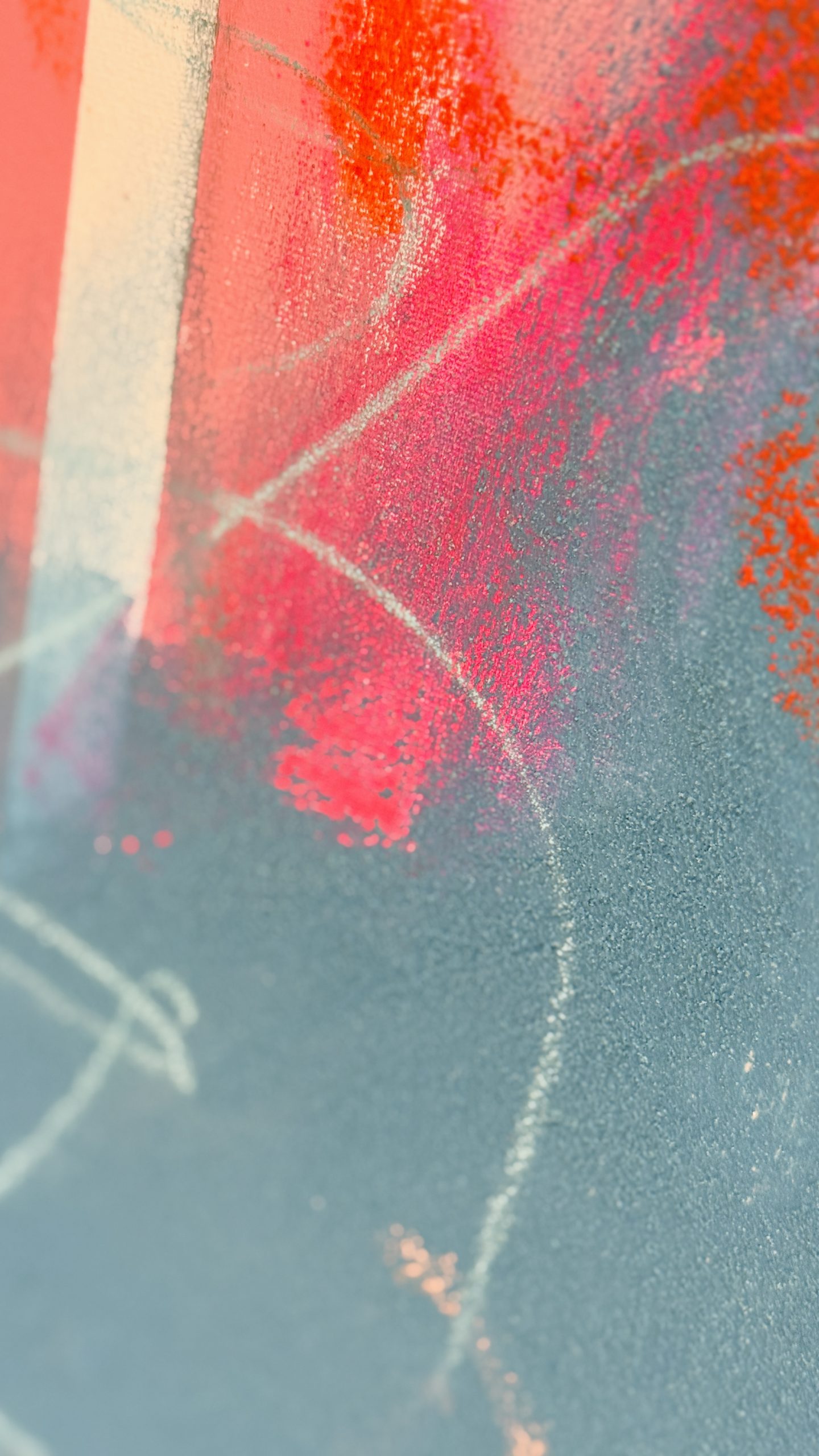 Zebra ZWEI – Bild 5